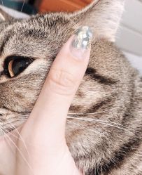 -盼兮·日式美睫沙龙