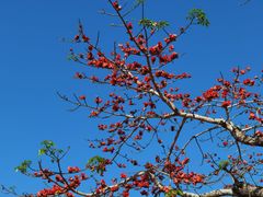 -三亚南山文化旅游区