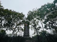 -塔子山公园
