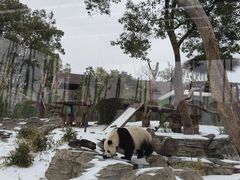 -武汉动物园