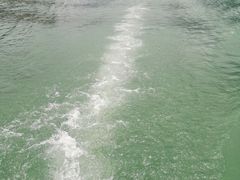 -广州市流溪河国家森林公园
