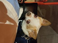 -稻前Taoki(方圆荟店)