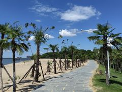 -瑶湖郊野森林公园