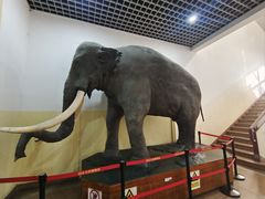 -国家自然博物馆