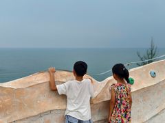 -广东惠东海龟国家级自然保护区