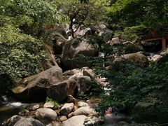 -大围山国家森林公园