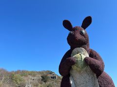 -野三坡百草畔景区