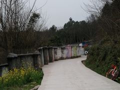 -成都爱之家动物救助中心