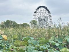 -苏州太湖湖滨国家湿地公园