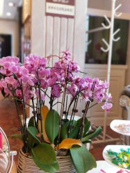 -龙泽日盛医疗美容