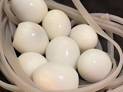 -麻田会 ·鲜活现烹·牛蛙火锅(珠江新城维家思广场店)