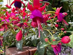 -方恒购物中心(望京小街店)