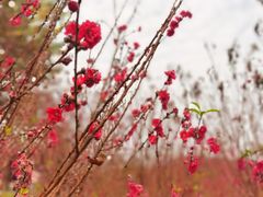 -白水带风景区体育公园