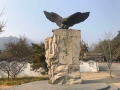 -北京鹫峰国家森林公园