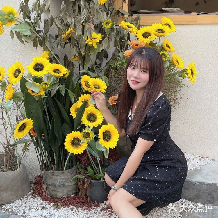 西安✨向日葵🌻花海里的浪漫下午茶🫖