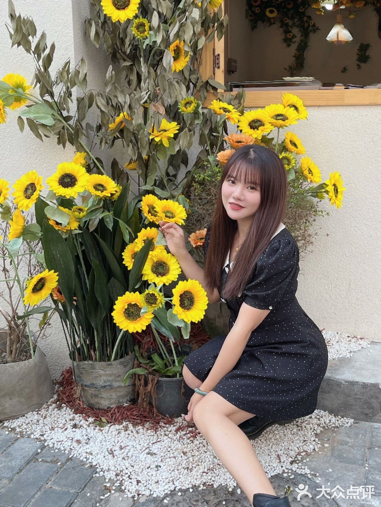 西安✨向日葵🌻花海里的浪漫下午茶🫖