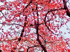 -烈士陵园(地铁站)