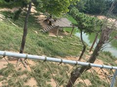 -西霞口神雕山野生动物世界