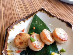 带子-柚子(假日店)