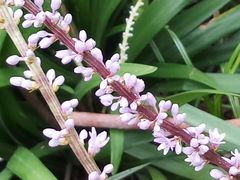 -苏州河梦清园环保主题公园