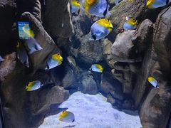 -成都浩海立方海洋公园