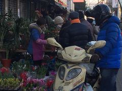 -本溪路花鸟市场(江浦路1709弄小区店)