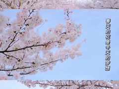 -上海辰山植物园