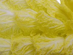 -杨肥肠火锅大排档(火车站花园店)