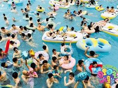 -重庆海昌加勒比海水世界
