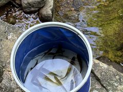 -众神白水涧景区