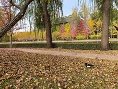 -北京西山国家森林公园