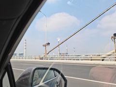 -宝珠奶酪(浦东金桥店)