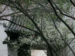 潜口民宅&nbsp;清园&nbsp;早春二月芳菲初现-潜口民宅博物馆