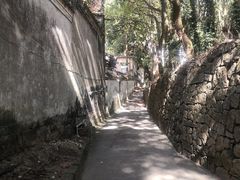 -普陀山风景区-佛顶山