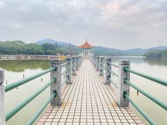 -番禺大夫山森林公园
