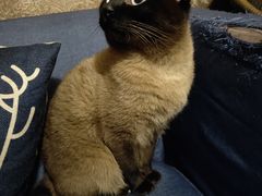 -吱咖啡西式简餐