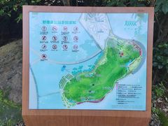 -野狸岛