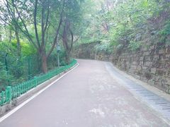 -金鸡山公园