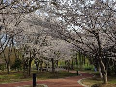 -江南大学(蠡湖校区)
