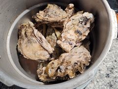 -里岛烤鱼(东港凯虹广场店)