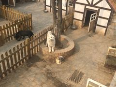 -北京市海淀外国语实验学校