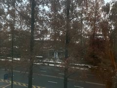 -南京THE TAI太和紫金大酒店