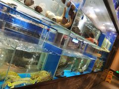 水产区-德米火锅(深圳湾1号旗舰店)