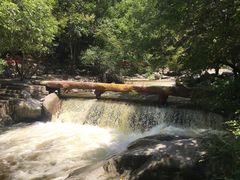 -陕西省红河谷森林公园