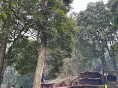 -青城山