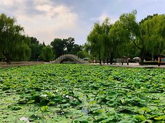 -达活泉公园