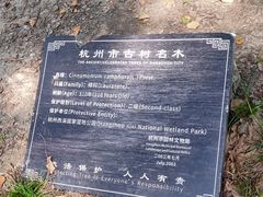 -西溪国家湿地公园