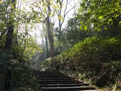 -虎跑公园