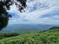 -莫干山风景区