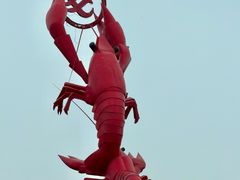 -盱眙虾怪·旗舰店
